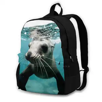 Школьная сумка Seal - Ocean Wildlife, Рюкзак Большой емкости Для ноутбука, 15-Дюймовый Тюлень, Морское животное, Морская Жизнь, Морская Черепаха