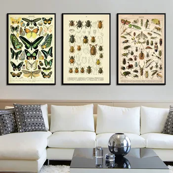 Холст в винтажном стиле, плакат, картина с образцами насекомых, высококачественная картина на холсте, украшение дома без рамки