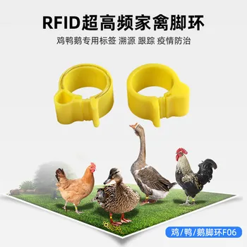 утка, курица, гусь, RFID-UHF-кольцо для ног, кольца, бирки, RF-пассивные карты